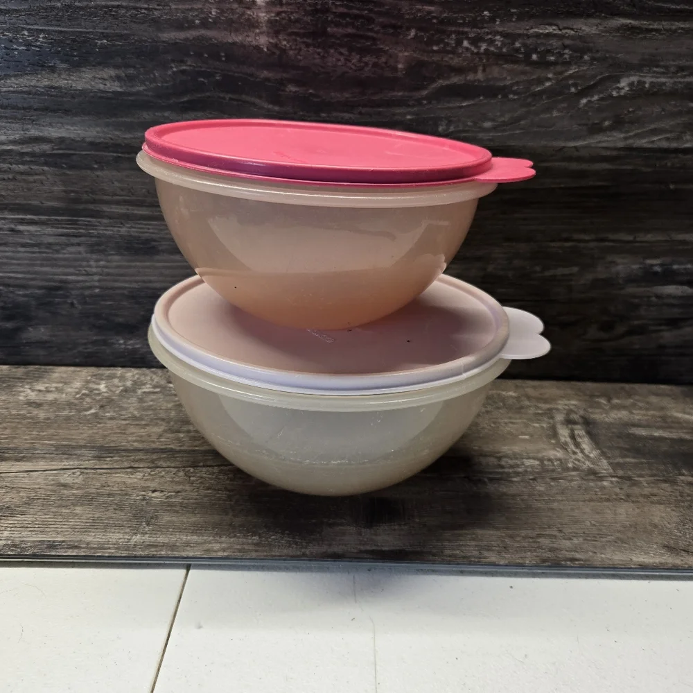 Tupperware Vintage Mixing Storage Wonderlier Bowl 2519 2520 C Butterfly Pink Lot